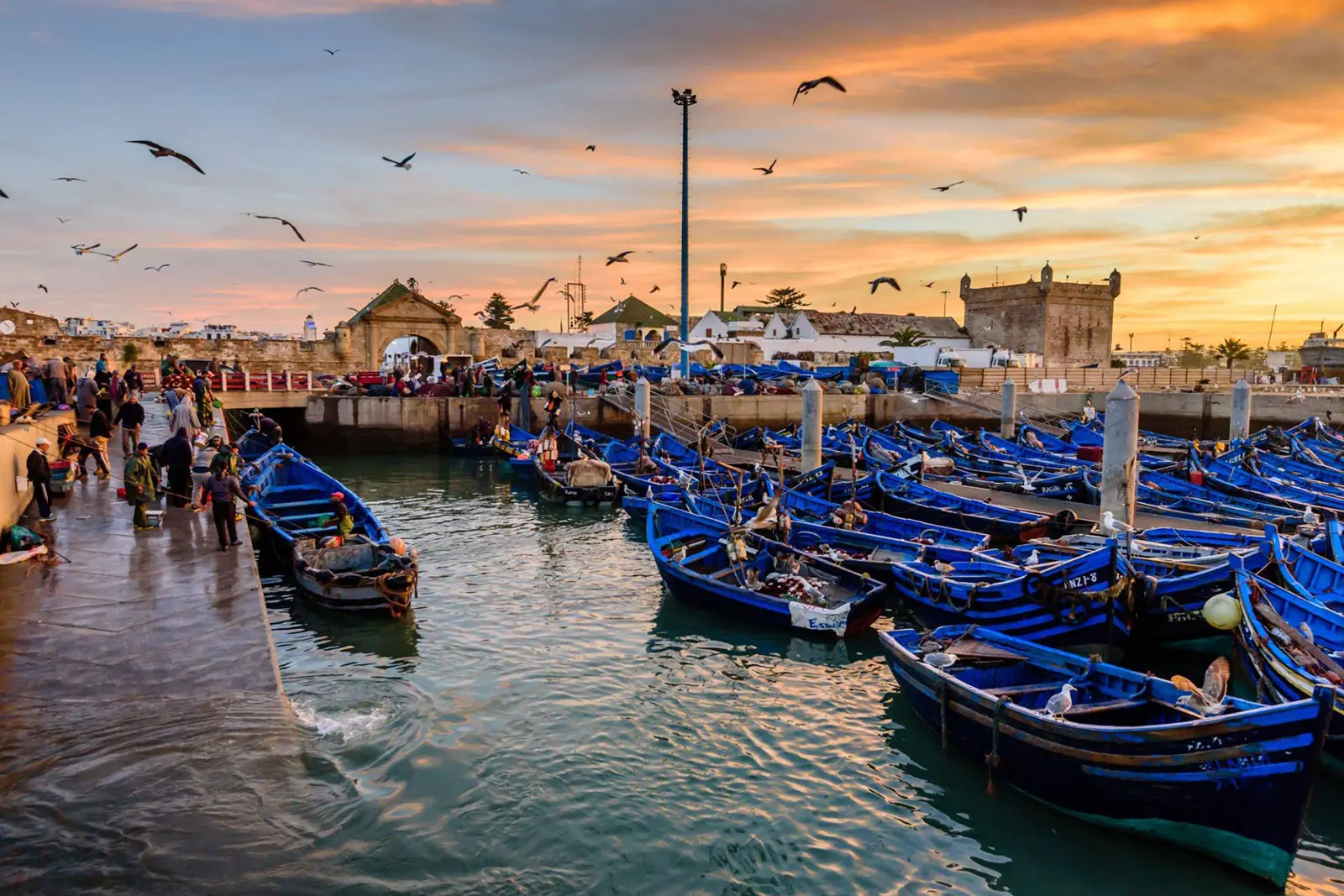 Essaouira day trip